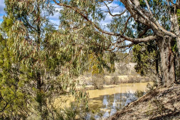 Schöne Aussicht Auf Einen Teich Dichten Buschland Der Ländlichen Gegend — Stockfoto