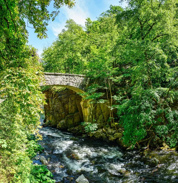 Uma Vista Ponte Jungfern Sobre Bode Nas Montanhas Harz Verão — Fotografia de Stock