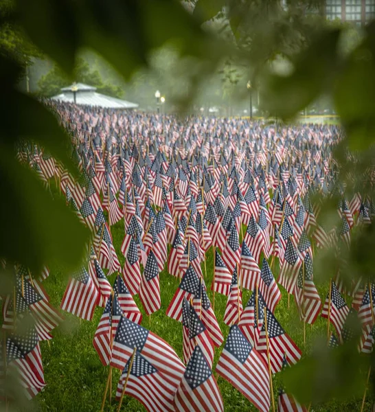 Banderas Estadounidenses Evento Conmemorativo Para Personal Caído Del Servicio Militar — Foto de Stock