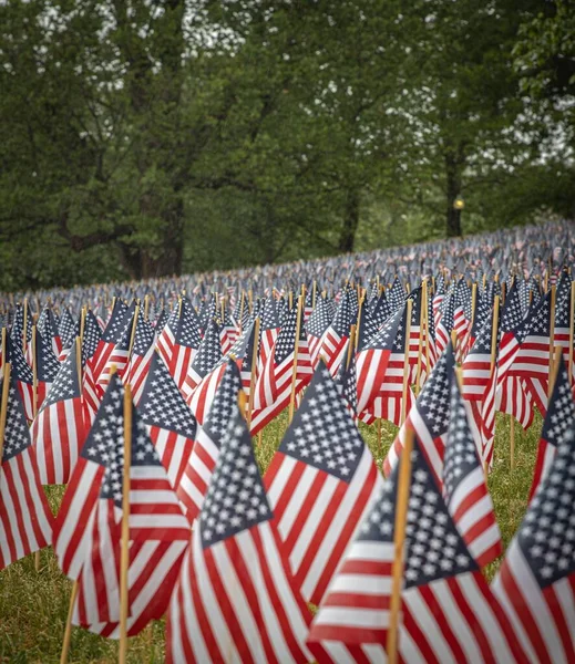 Banderas Estadounidenses Evento Conmemorativo Para Personal Caído Del Servicio Militar — Foto de Stock