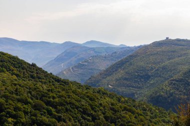 Bulutlu gökyüzü ile güzel bir çayır ve ağaçlar...