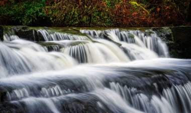 Ormanda küçük bir şelale - Triple Falls Vancouver Adası BC