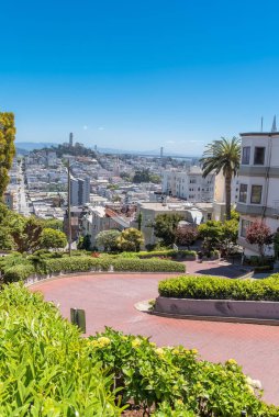San Francisco, ünlü Lombard Street, Rus Hill, Coit ile sokakta sarma arka planda kule