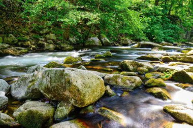 Harz Dağları 'ndaki Bode nehir yatağının görkemli güneş ışığı manzarası.