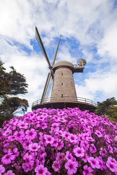 Vertical Shot Windmill Golden Gate Park San Francisco — Stock Photo, Image