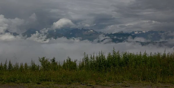 Horská Krajina Pokrytá Mraky Stromy Popředí Alp Francie — Stock fotografie