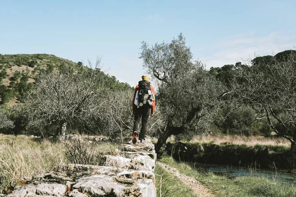 Walking Camino Portugues Nice Warm Summerday — Stock fotografie