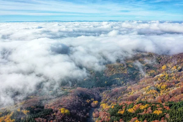 Una Vista Aérea Hermoso Bosque Con Árboles Coloridos Cubiertos Niebla —  Fotos de Stock
