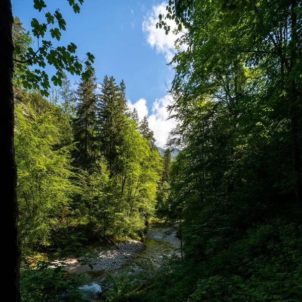 Tara Nehri Kanyonu, Avrupa 'nın en büyük ve en derin kanyonu.