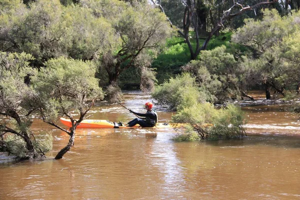 2022 Avon Descent Boat Race Perds Australia — 스톡 사진