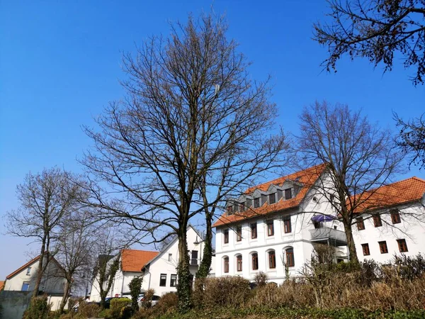 Ein Modernes Haus Mit Einem Baum Ohne Blätter — Stockfoto