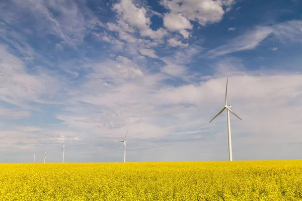 Las Turbinas Eólicas Campo Canola — Foto de Stock