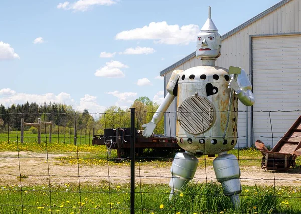 Egy Acél Robot Egy Fejszével Kerítés Mögött — Stock Fotó
