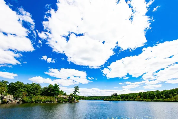 曇り空の下で穏やかな湖と森の風景の景色 — ストック写真