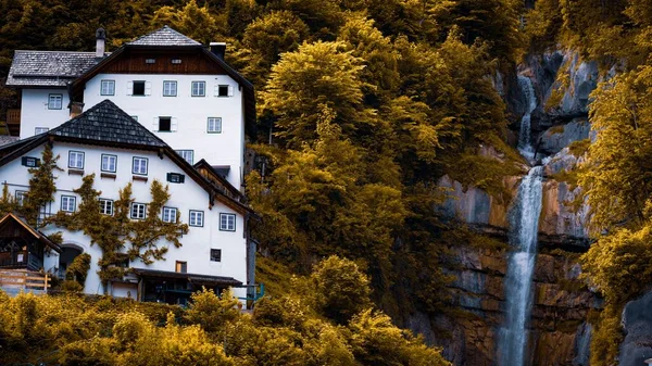 Ağaçlarla Çevrili Çarpıcı Bir Şelalenin Yanında Çok Katlı Güzel Bir — Stok fotoğraf