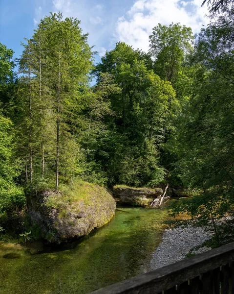 Tara Nehri Kanyonu, Avrupa 'nın en büyük ve en derin kanyonu.