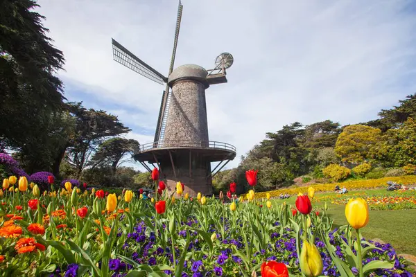 Красивый Снимок Ветряной Мельницы Парке Золотые Ворота Сан Франциско — стоковое фото
