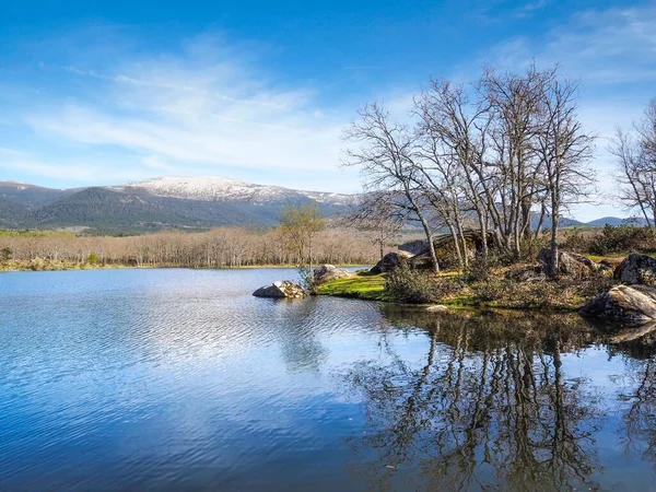İspanya, Segovia 'da çıplak ağaçların güzel manzarası ve sudaki yansımaları.