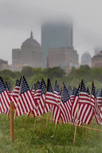 American Flags Memorial Day Event Fallen Military Service Personnel — Stock Photo, Image