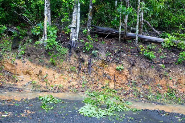 Detriti Sulla Strada Sterrata Dopo Tempesta Vicino Kuranda Nel Queensland — Foto Stock
