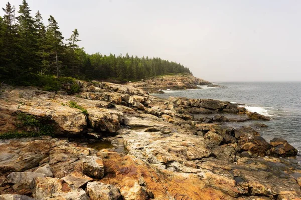 Uma Vista Panorâmica Uma Costa Rochosa Com Árvores Longo Oceano — Fotografia de Stock