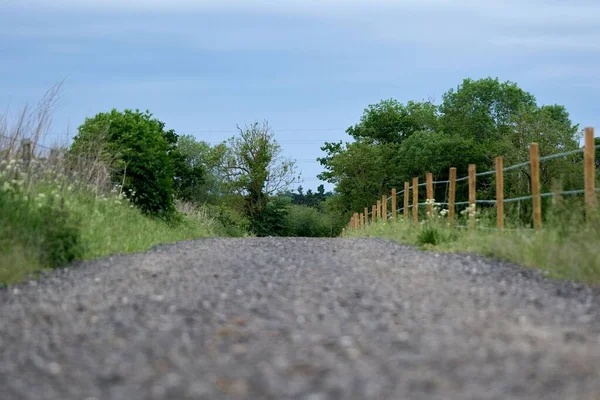 A dirt road with grass and trees on the side