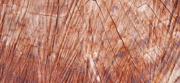 木材の質感を閉じます背景 — ストック写真