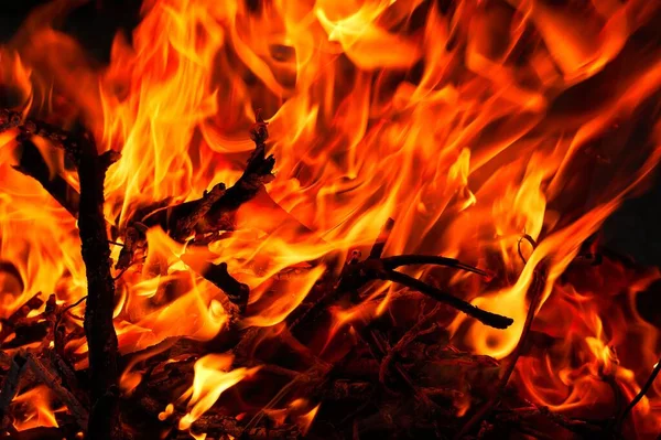 美しい炎が夜に乾いた小枝を燃やす — ストック写真