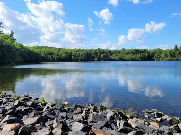 Costa Rocosa Áspera Lago Rodeado Árboles — Foto de Stock