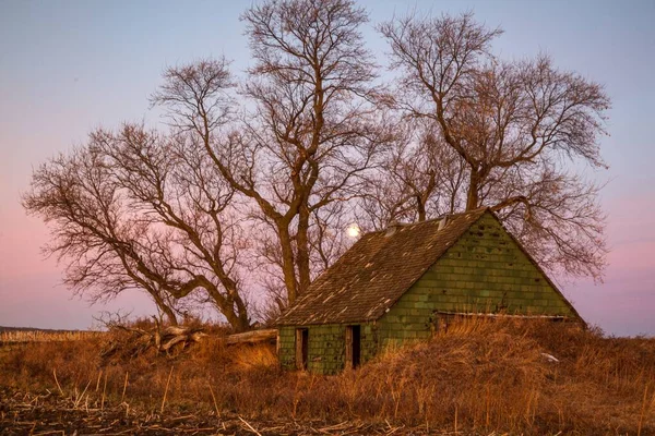 Leafless Trees Old Abandoned Rustic House — Stock Photo, Image