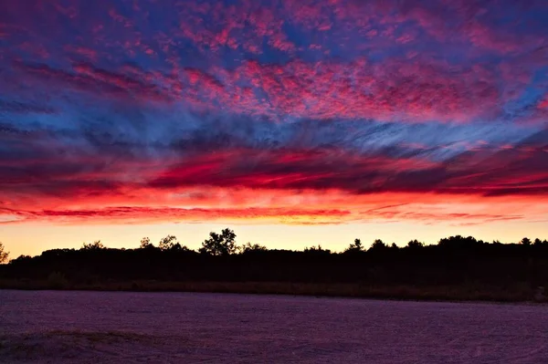 Ein Meerblick Mit Bäumen Und Einem Hellen Sonnenuntergang Hintergrund — Stockfoto