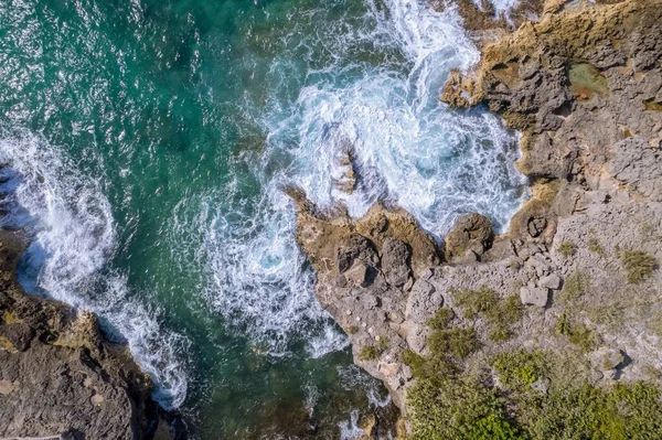 Widok Powietrza Skalistego Wybrzeża Drzewami Wzdłuż Błękitnego Oceanu Wiejskim Terenie — Zdjęcie stockowe