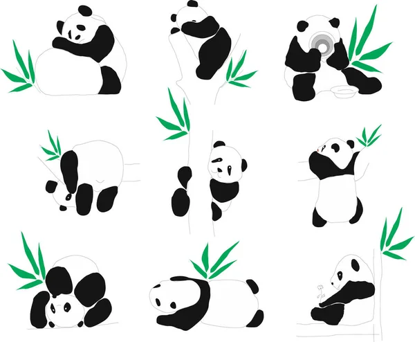 Conjunto Lindos Dibujos Panda Sobre Fondo Blanco — Vector de stock