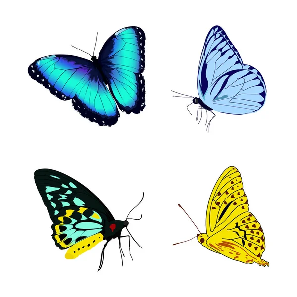 Illustration Papillons Bleus Jaunes Sur Fond Blanc — Image vectorielle