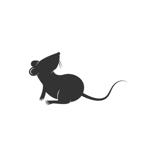 Rats Icône Logo Illustration Modèle Vectoriel — Image vectorielle