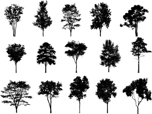Vector Illustration Pine Tree Silhouettes — Stock Vector