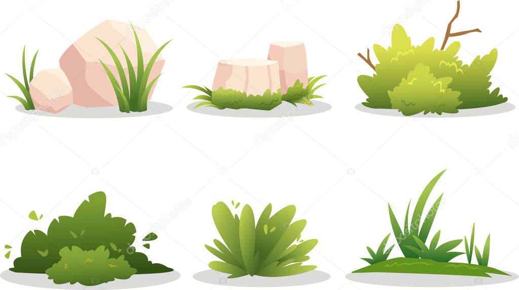 Different, beautiful types of plants on the white background