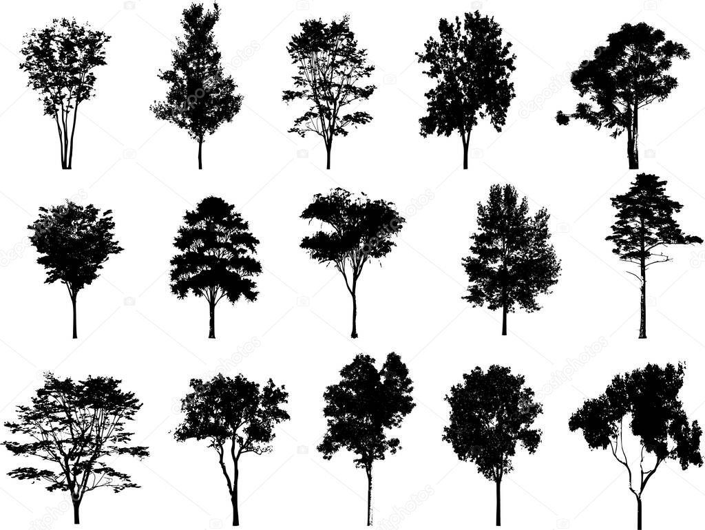 A vector illustration of pine tree silhouettes