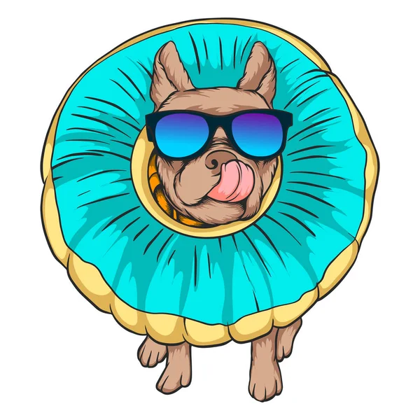 Ένα Διάνυσμα Του Boston Terrier Φορώντας Γυαλιά Και Δαχτυλίδι Κολύμβησης — Διανυσματικό Αρχείο