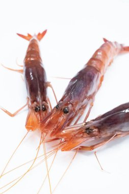 Üç taze karidesin dikey çekimi beyaz arka planda başlarını eğdiler.