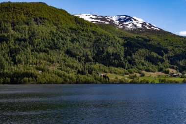 Güneşli bir günde Norveç, Vestland 'de sakin bir göl ve orman manzarası.