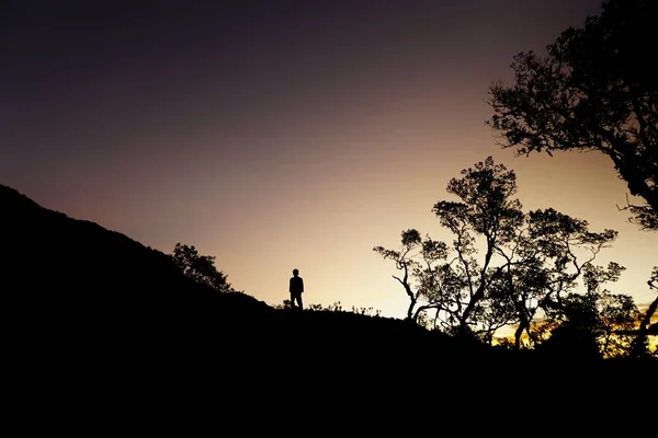 Die Silhouette Eines Jungen Tanralili See Bei Sonnenuntergang Sulawesi Indonesien — Stockfoto