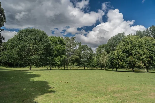 Wedgewood Park Landscape Trees Manicured Lawn Sunny Day Clouds Staffordshire — Stock Photo, Image