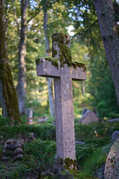 Вертикальний Знімок Бетонного Хреста Вкритого Мохом Старому Кладовищі — стокове фото