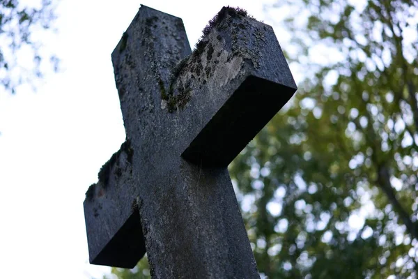 Низькокутний Знімок Бетонного Хреста Вкритого Мохом Старому Кладовищі — стокове фото