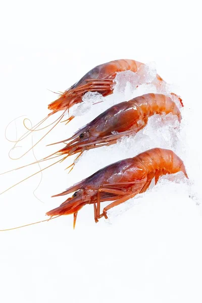 Gros Plan Vertical Trois Grosses Crevettes Fraîches Sur Fond Blanc — Photo