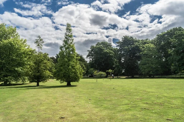 Wedgewood Park Táj Fák Manikűrözött Pázsit Napos Nap Felhőkkel Staffordshire — Stock Fotó