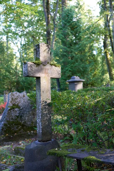 Вертикальный Снимок Бетонного Креста Покрытого Мхом Старом Кладбище — стоковое фото