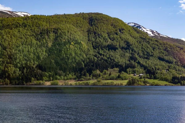 晴れた日にはノルウェーのヴェストランドにある穏やかな湖と森林に覆われた山々の美しい景色 — ストック写真
