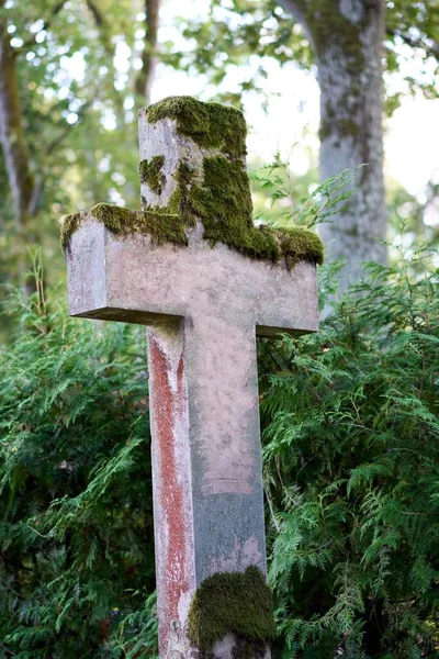 Tiro Vertical Uma Cruz Concreto Coberto Musgo Velho Cemitério — Fotografia de Stock